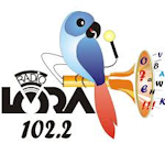 Radio LoRa